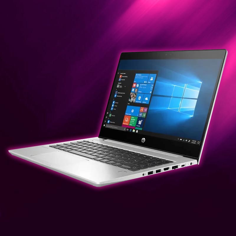 HP ProBook 445 G6 14 TNS Gaming